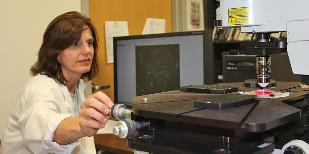 OU College of Medicine Researcher Discovers Protein in Development of Nearsightedness