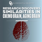 ‘Chemo Brain’ and the Aging Brain: Researchers Examine Similarities in Search for Improved Cognition