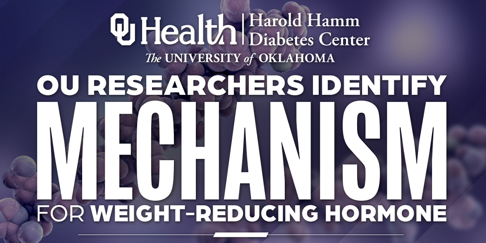 Researchers Identify Mechanism for Body Weight-Reducing Hormone